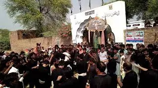 Matmi sangat Haran pur//Zanjeer zani ka purda dety hwa in 2018