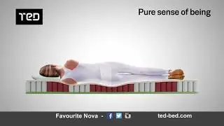 TED Favourite PLUS Nova Video
