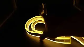 SMD LED Neon Flex Warm White color www.Flex-Neon.com