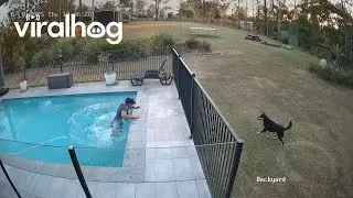 Distraction While Leaf Blowing Leads To Swimming Pool Fall || ViralHog