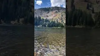 Lost Lake Trail Nederland CO. #lostlake #nederland #colorado #nature #peaceful #zen