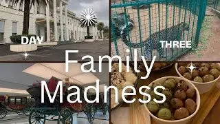 Family Madness day 3:  National palace | antique cars | zoo | dessert 