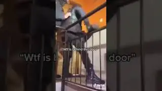 🚪😂What's Behind The Door?😂🚪 TikTok Highlights