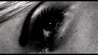 Catharsis - The Beast Set Free