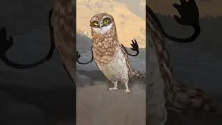 atpowl #comedy #funny #dance #comedyshorts #comedyvideos #viralshots #funnyshorts #trendingshorts