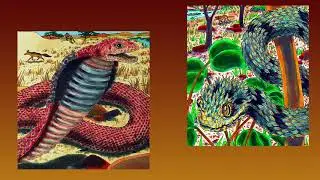 Roxie on SLITHERY SNAKES (trailer)