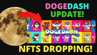 DogeDash Update! DogeDash NFTs Dropping December 4th! Play The Game As Your NFT!