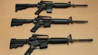 Steve Wynn on the Nevada gun ballot issue