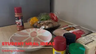 Stellies Med School Diaries: CHICKEN AND NAAN MEAL PREP 🥘| SOUTH AFRICAN YOUTUBER