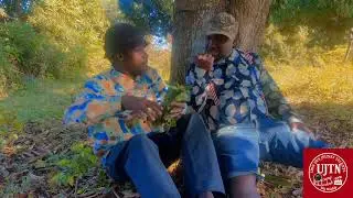 Nouvo proj&egrave; TRAILLE DIMWATYE ap disponib 31 janvier depil f 6h30 RET BRANCHE...