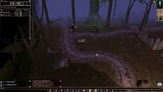 Neverwinter Nights(2002), Arcane Archer, PvP, Тайный Лучник, ПвП(24.07.2016)