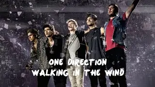 One Direction - Walking in the wind (unofficial video)