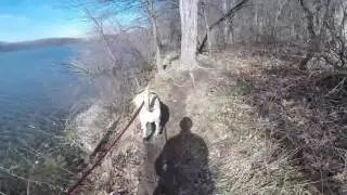 Holly Recreational Area Trail Day Hike