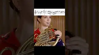 Mozart: Horn Concerto No. 4 &ndash; opening  #classicalmusic #frenchhorn #mozart #horn