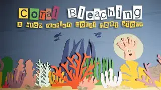 Coral Bleaching - a stop motion story about coral reefs