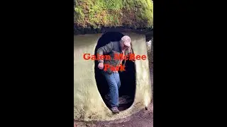 Galen McBee Airport Park Wander Oregon
