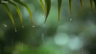 You & Me: Relaxing Piano Music & Soft Rain Sounds For Sleep & Relaxation