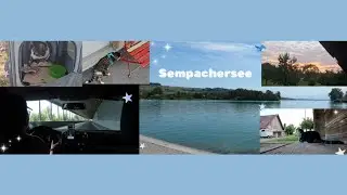 Ferien Tag 2 mit Baron🐈Wir gehen zum Sempachersee🏞
