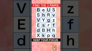 FIND THE 3 PAIRS! 🦅 Eagle Eye Challenge: Visual Test for Seniors #VisionTest #Puzzle #BrainTraining