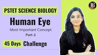 Human Eye Part-2 | PSTET Science Preparation | Paper-2 Biology | PSTET Science Biology Coaching
