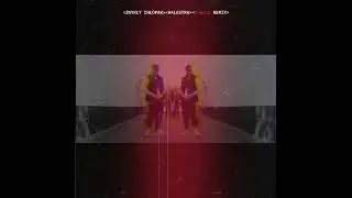 HAŁASTRA - ZWYKŁY CHŁOPAK - trails REMIX