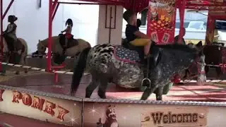 Video: Karussell mit lebenden Ponys sorgt f&uuml;r heftige Kritik im Internet