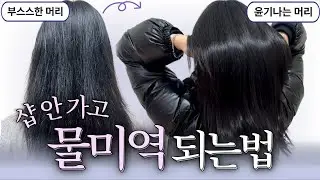 미용실 클리닉 대신 이거 합니다｜물미역 머릿결 홈케어 루틴 (내돈내산)