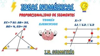 PROPORCIONALIDAD DE SEGMENTOS: TEORÍA Y EJERCICIOS