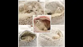 CKKSTORE PET DOG CAT BED ROUND PLUSH CAT WARM BED HOUSE SOFT LONG PLUSH BED Cat Sleeping Bed