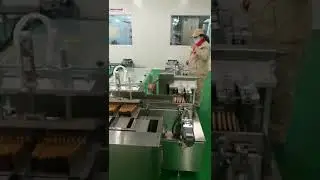 Automatic bag sticks conveyor counting feeding cartoning machine bag counting device video