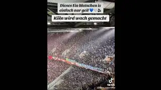 K&ouml;ln wird wach gemacht 💙🤍🔊🔥 #football #bundesliga #fussball #k&ouml;ln #magdeburg #fu&szlig;ball #ultras