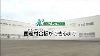 秋田プライウッド企業紹介　④国産材合板ができるまで