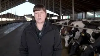 Agrarprodukte Kitzen Milchproduktion im Gl&auml;sernen Kuhstall Short