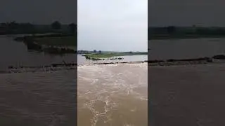 Sina river update...                    #sinariver #Mahapur #Sina