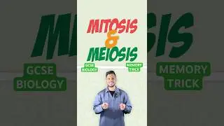 MEMORY TRICK! How to memories the difference between Mitosis and Meiosis! #gcse #science #biology