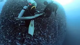 The Great White Wall - Fiji.      360 video