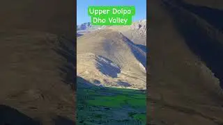 Upper Dolpa Dho Valley #trending #explore #viralvideo #shorts