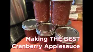 Is This The BEST Cranberry Applesauce Recipe?