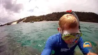 Snorkeling the Tangalooma Wrecks - Presented by Ben Southall