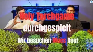 Holy Torch game durchgespielt! Zu Besuch bei Moes Reef! #Holy #meerwasseraquaristik #crazy