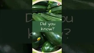 The Benefits of #Zucchini