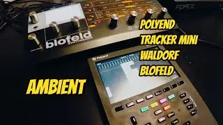 Ambient - Polyend Tracker Mini sequencing the Waldorf Blofeld
