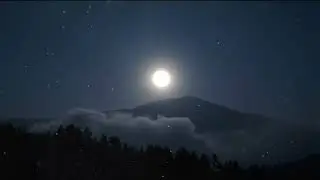 Owl Echoes Under the Full Moon | Relaxing Night Forest Ambience