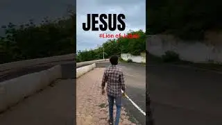 Slow walk but Victorious #lion #judah #christian #content #heaven #destination #shortvideo #youtube