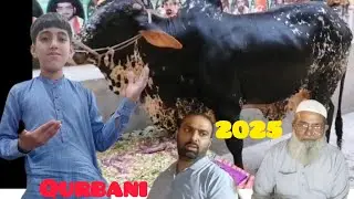 Qurbani ka janwar lay Lia, live soda Alhumdulilah
