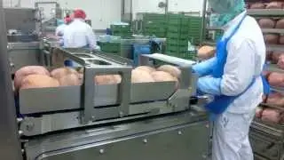 TS700 slicer line &ndash; whole muscle ham