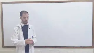 اساسيات مجاني   E1