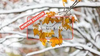 Pics in the Parks - Winter Edition Introduction and Tips