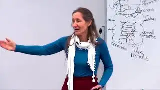 Barbara O'Neill - Part 14: Remedying digestive problems
