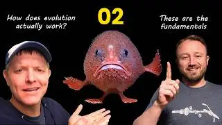 Flagella Evolution? 02: Competence without comprehension